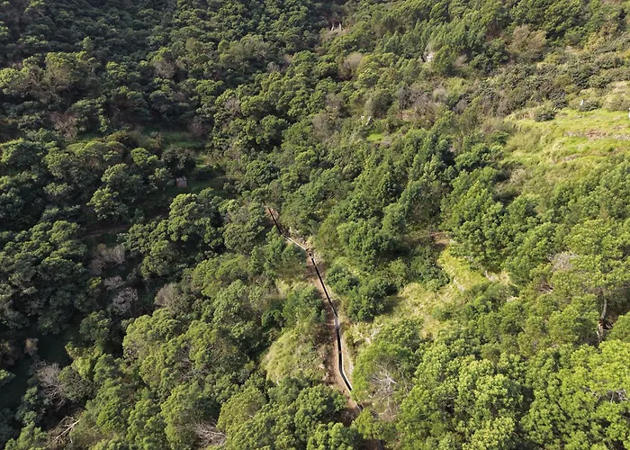 Seaside & Levada Escape *