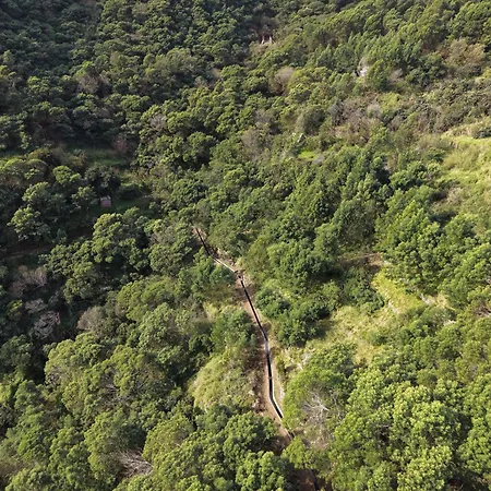 Seaside & Levada Escape *